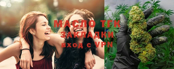 хмурый Сосновка