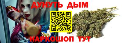сатива Кимры