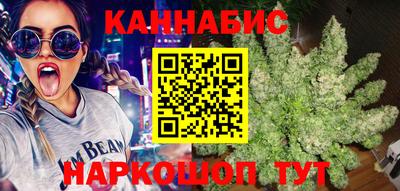 сатива Кимры