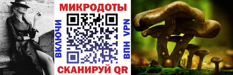 Псилоцибиновые грибы Psilocybe Печора