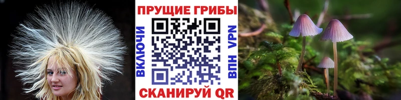Галлюциногенные грибы ЛСД  Печора 