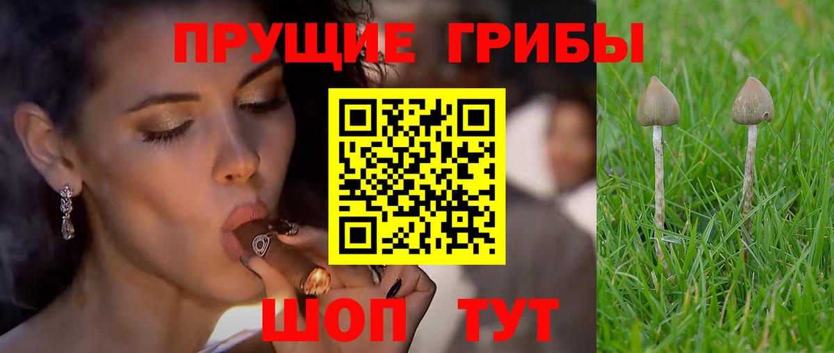 Галлюциногенные грибы GOLDEN TEACHER  Вход с VPN  Печора 